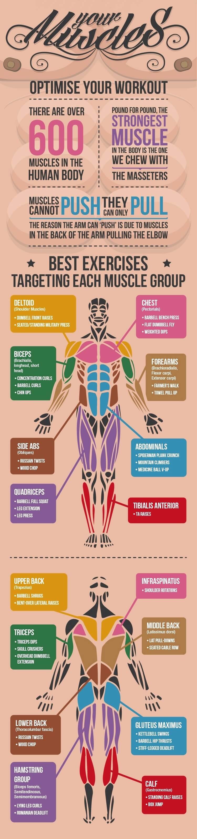 Regular Exercise healthy exercise